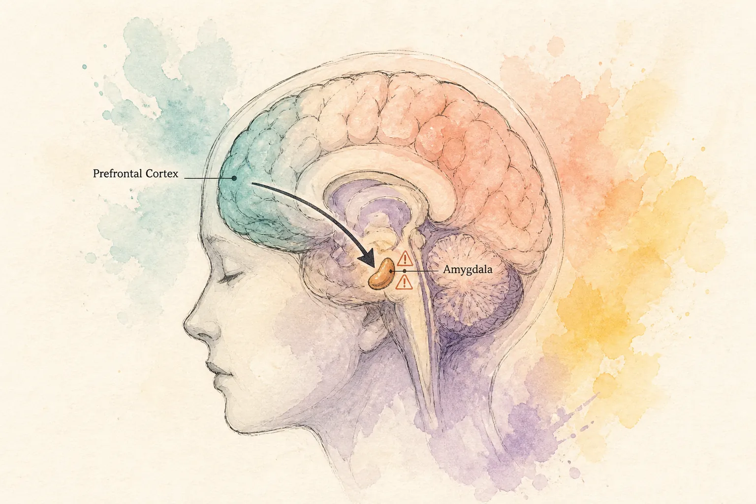 Illustration of the brain in a threat state when values are violated.